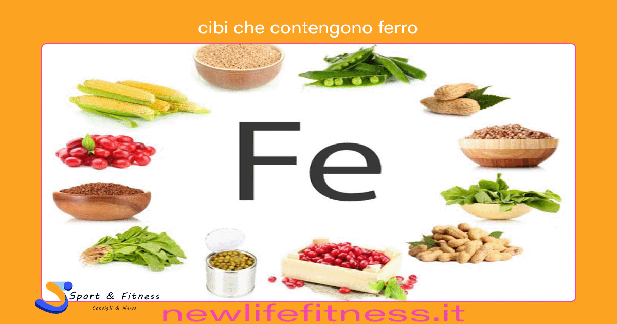 cibi che contengono ferro cibi che contengono ferro