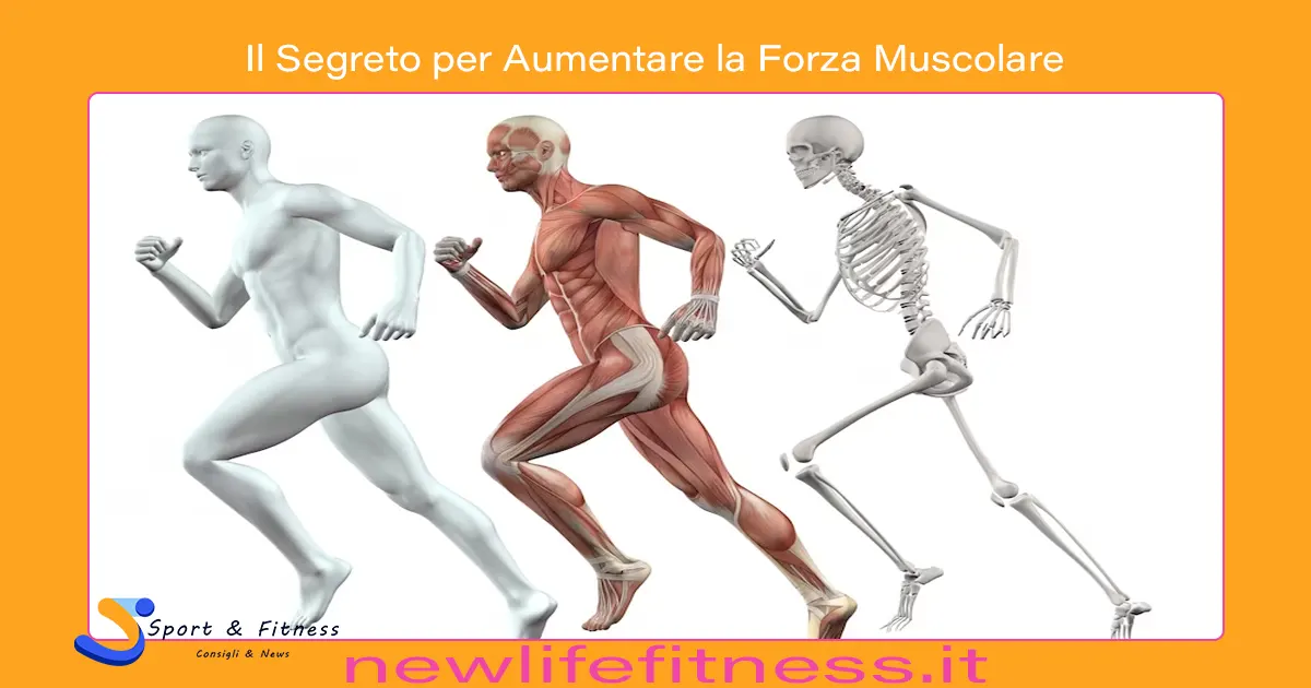 Il Segreto per Aumentare la Forza Muscolare Il Segreto per Aumentare la Forza Muscolare